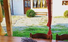 Chalet Giuel